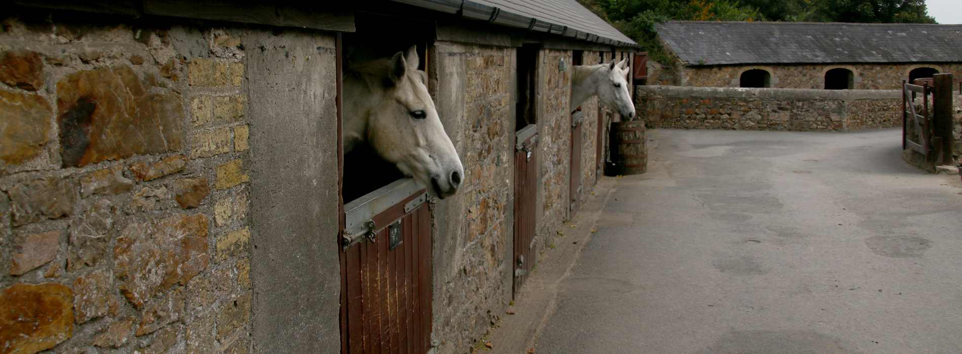 Down yard